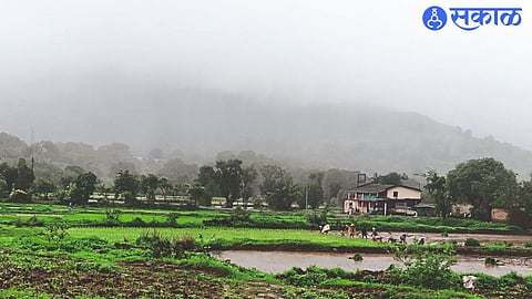 Nashik Heavy Rain 