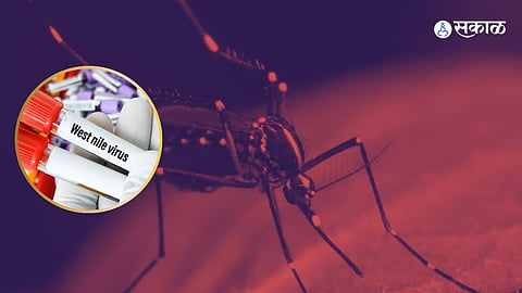 West Nile Fever