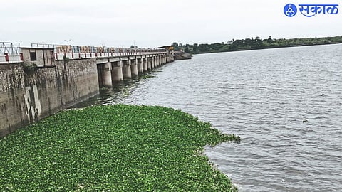 Current water storage in the dam.