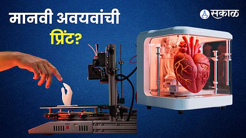 AI Advances 3D Printing of Human Organs Research