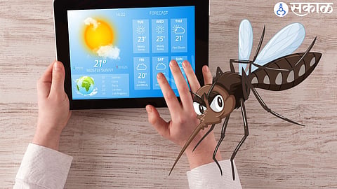 Cricket Insect Predict Weather