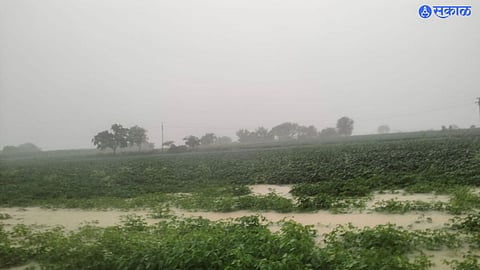 Marathwada Rain Update