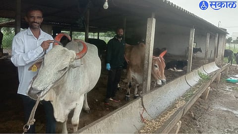 happiness among farmers