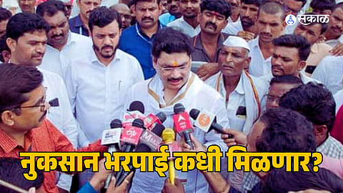 Beed Rain: बीडच्या शेतकऱ्यांना कधी मिळणार नुकसान भरपाई? वाचा काय म्हणाले पालकमंत्री 