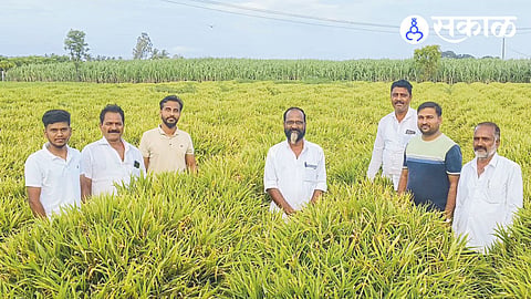 Farmer Ramesh Adsul