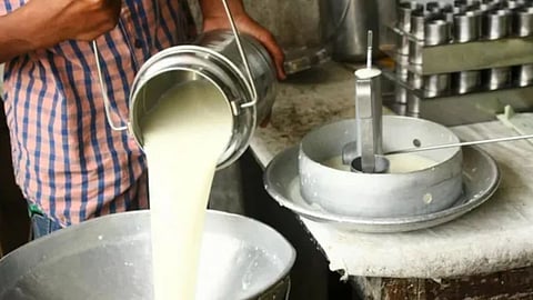Milk Project