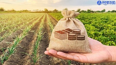 crop insurance 