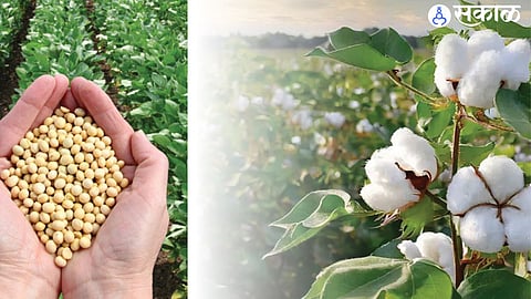 Agriculture Crop Crisis 