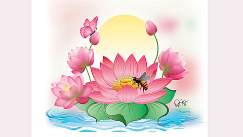 Lotus Flower