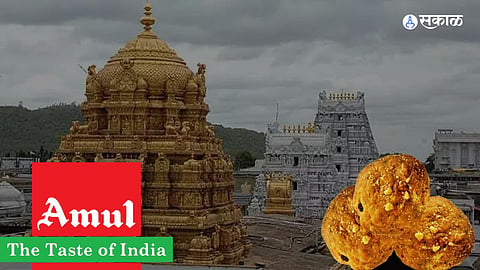 Tirupati Laddu: 'तिरुपती'च्या लाडूवरुन 'अमूल'चं स्पष्टीकरण; म्हणाले, आमचा पुरवठा...