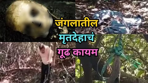 Bhoste Ghat Forest