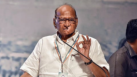 MP Sharad Pawar