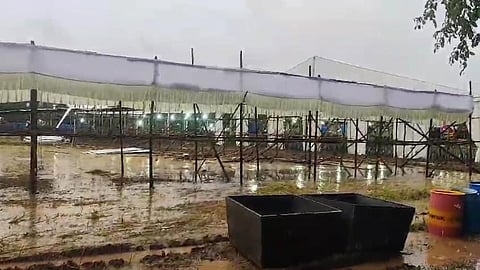 mud on sp ground