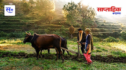 agro tourism 