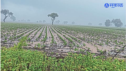 Akola Agriculture