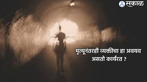 Death Facts In Marathi 