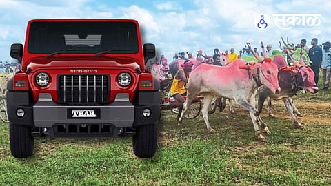 CM Kesari Bullock Cart Race