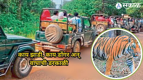 Pench National Park