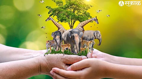 world animal day