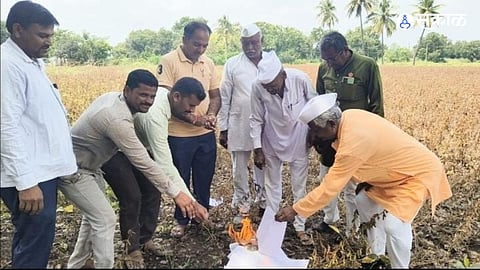 Jalna News 