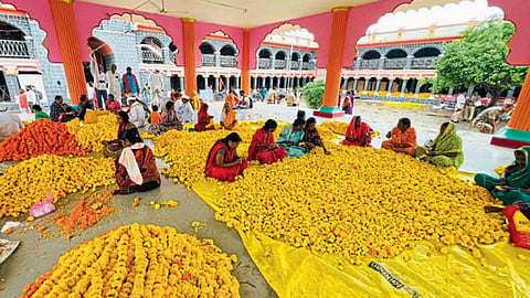 बीड - श्रीक्षेत्र नारायणगडावरील मेळाव्यात आज फुलांचा वर्षाव केला जाणार आहे. त्यासाठी फुले निवडताना मुली. 
