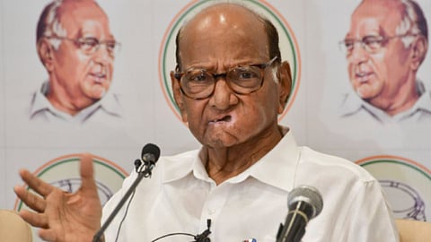 MP Sharad Pawar