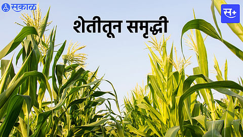 Agriculture