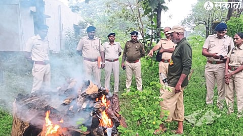 Nashik East sub-conservator Krishna Bhawar, assistant conservator of forest Umesh Wagh, forest range officer Vijay Welkar and staff during the cremation of the leopard in the forest area.
