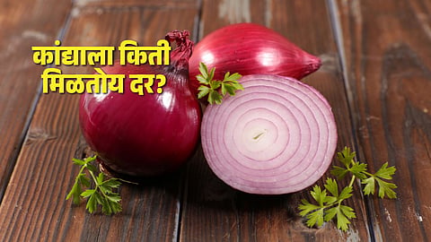 Onion Prices before Diwali 2024