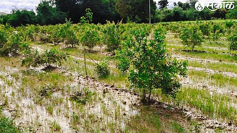 farm damaged