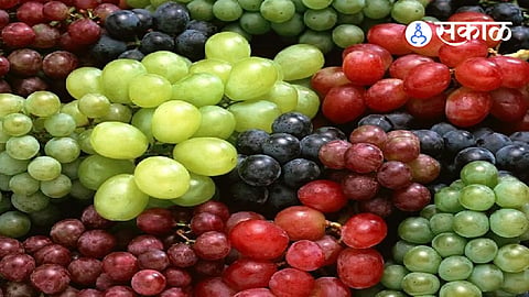 Grapes