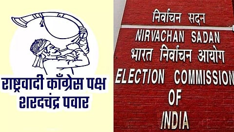 Solapur Assembly Election 2024