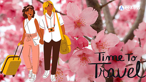 Cherry Blossoms:  