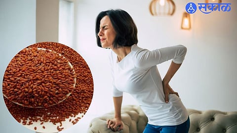 Aliv seeds 