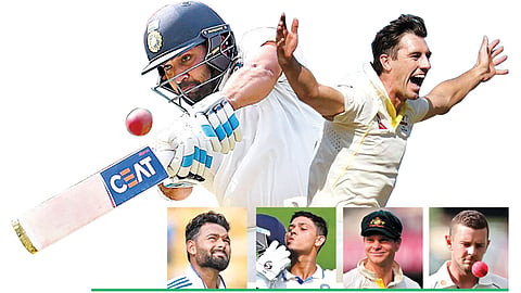 Cricket