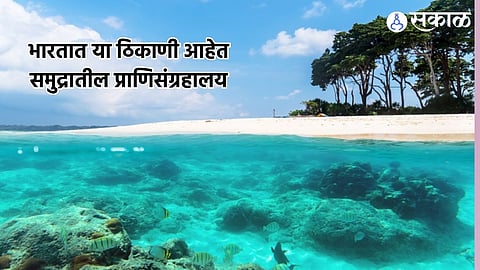 Under Water National Park: भारतात या ठिकाणी आहेत समुद्रातील प्राणिसंग्रहालय, प्रत्येकाने एकदा तरी भेट द्यायलाच हवी 