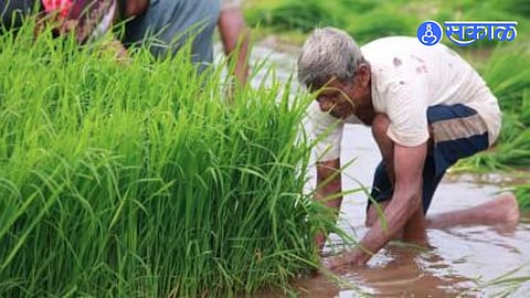 Agriculture News