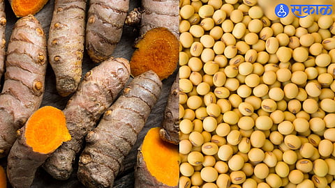 Turmeric and Soybean Prices
