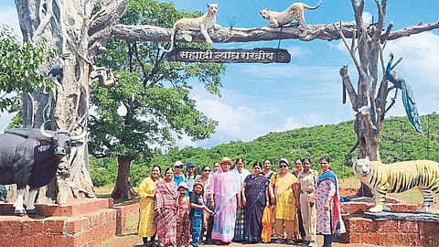 Chandoli Sanctuary