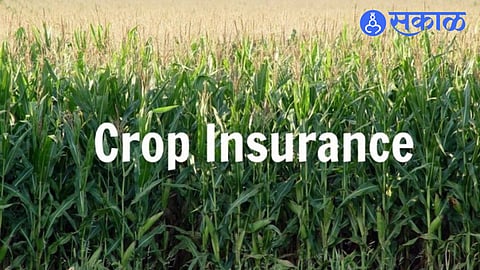 Crop Insurance