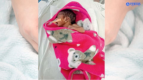 Newborn Baby 