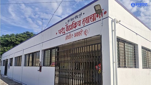 Animal Health Clinic