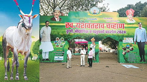 Karad Krushi Pradarshan 