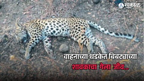 Chirori jungle in Chandur Railway