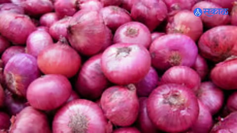  Onion Price