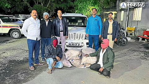 Illegal Business Raids