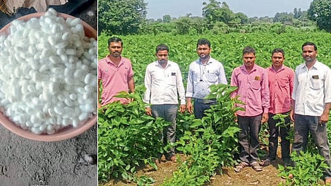 Sericulture