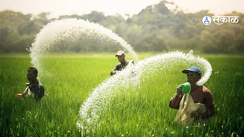  chemical fertilizer supply stopped in Thane district 