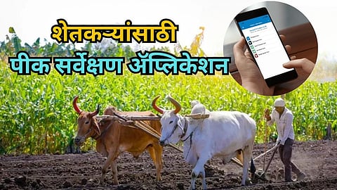 Crop Survey App