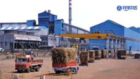 Sugar industry